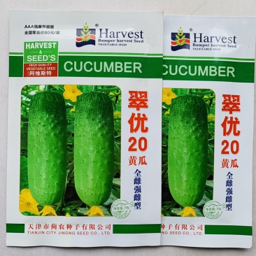全雌强雌性水果黄瓜种子翠优20升级版特好吃黄瓜品种