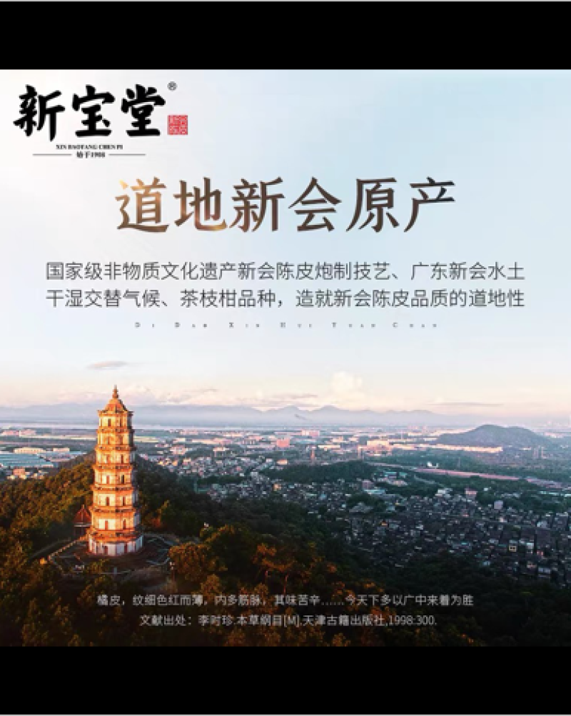 新宝堂新会陈皮正品保证陈皮干泡茶老陈皮厂价批发量大价优