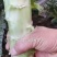 红叶莴笋大量上市
