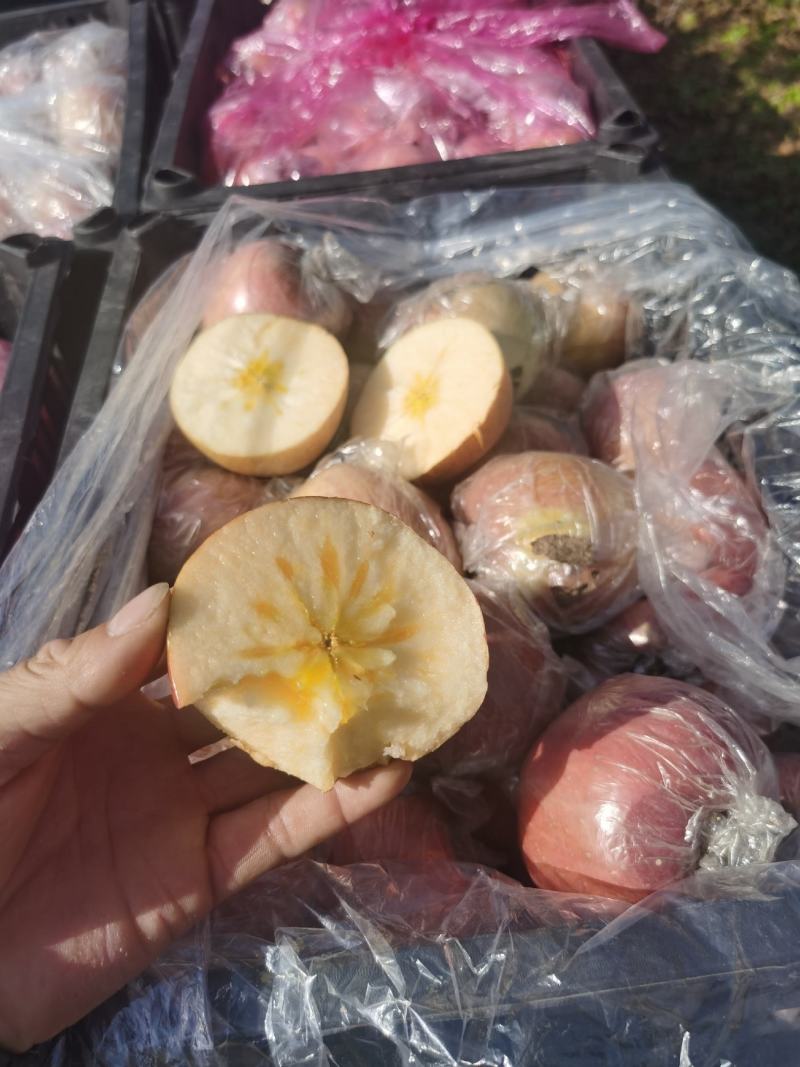 山西运城红富士苹果，条红，片红，脆甜多汁产地直供