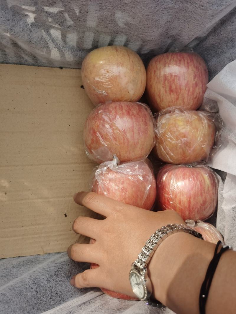 山西运城红富士苹果，条红，片红，脆甜多汁产地直供
