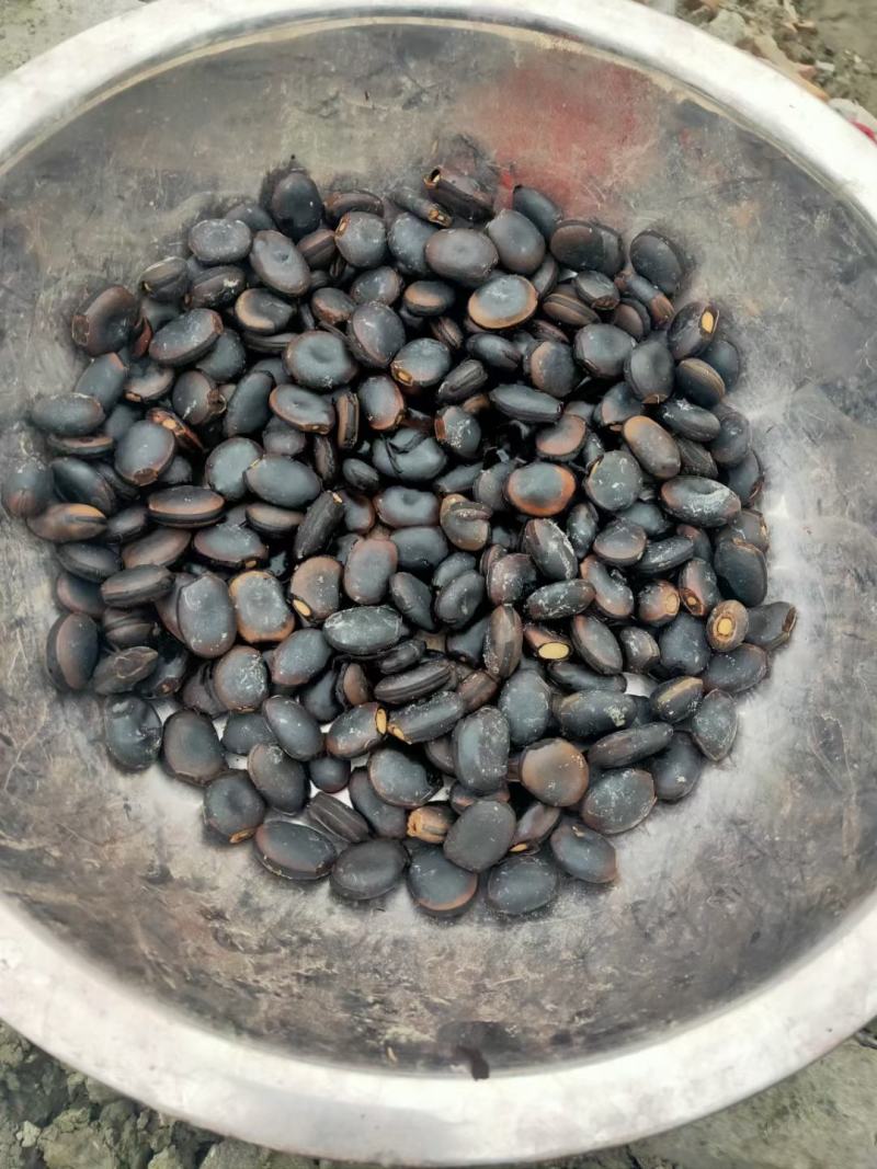 油麻藤低价批发产地直销品质有保证规格齐全