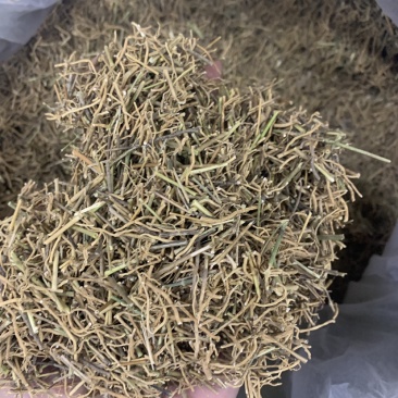 徐长卿水洗干净一公斤起批无硫磺熏蒸