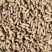 洮南市四粒红手选果花生成车走货一手货源基地直发