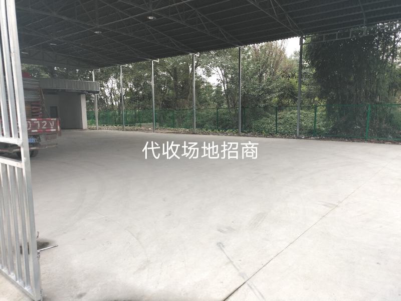 基地棒菜