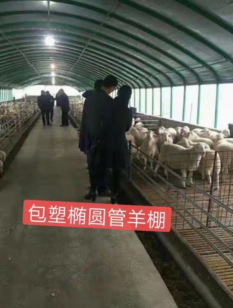 大棚建造