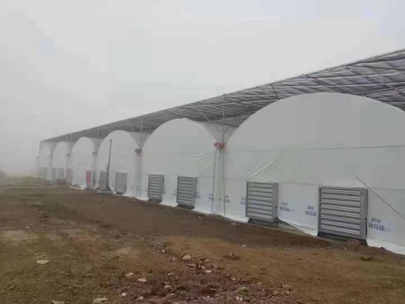大棚建造