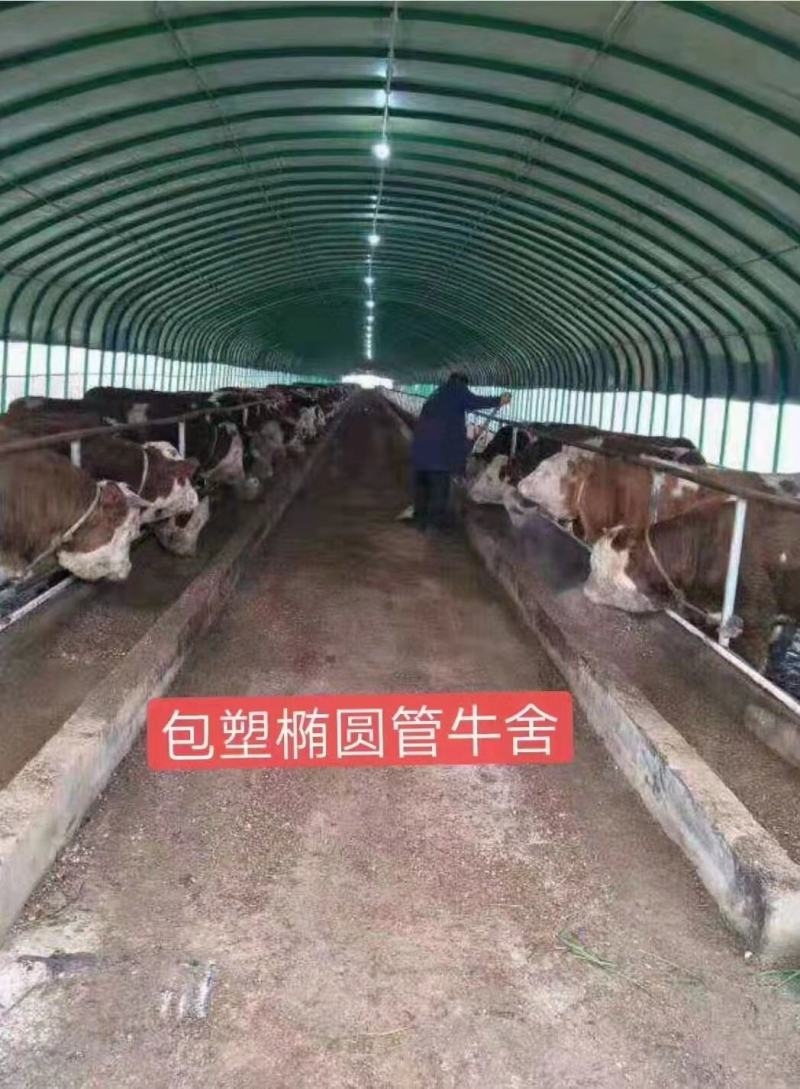 大棚建造