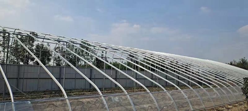 大棚建造
