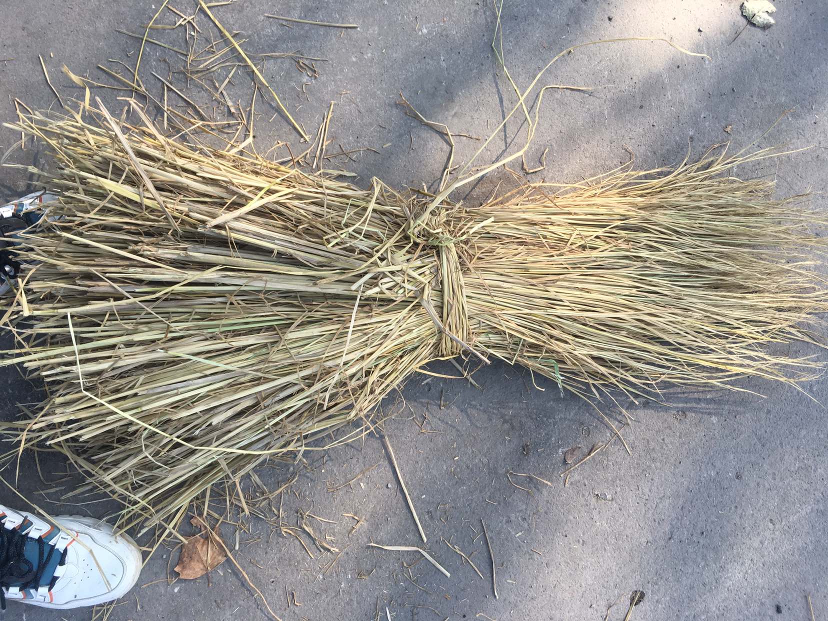 展示三种不同材质的捆绑绳:稻草绳、尼龙绳、塑料绳,标注其优缺点 不同材质绳子对比图