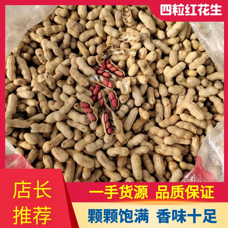 【推荐】洮南四粒红色选果花生，熟花生，果白，果粒饱满！