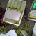 潍坊精品西葫芦大量上市，质量好，价格低。