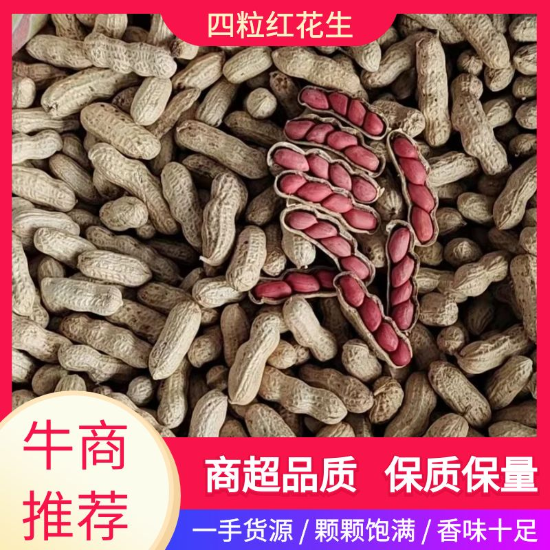 【推荐】白城市洮南本地四粒红色选果花生质量保证合作共赢