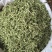 干刀豆刀豆丝凉拌菜的**品