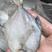 鲳鱼单冻银鲳鱼一斤9条3.2一斤一手货源