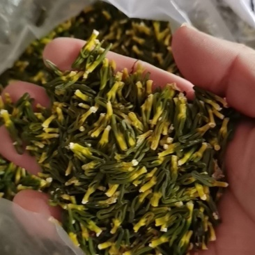 广昌莲芯