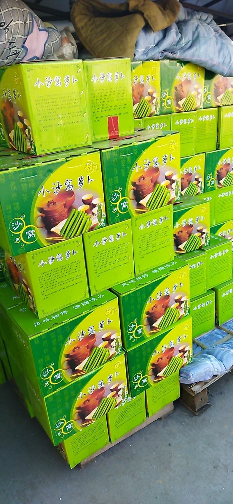 天津沙窝萝卜