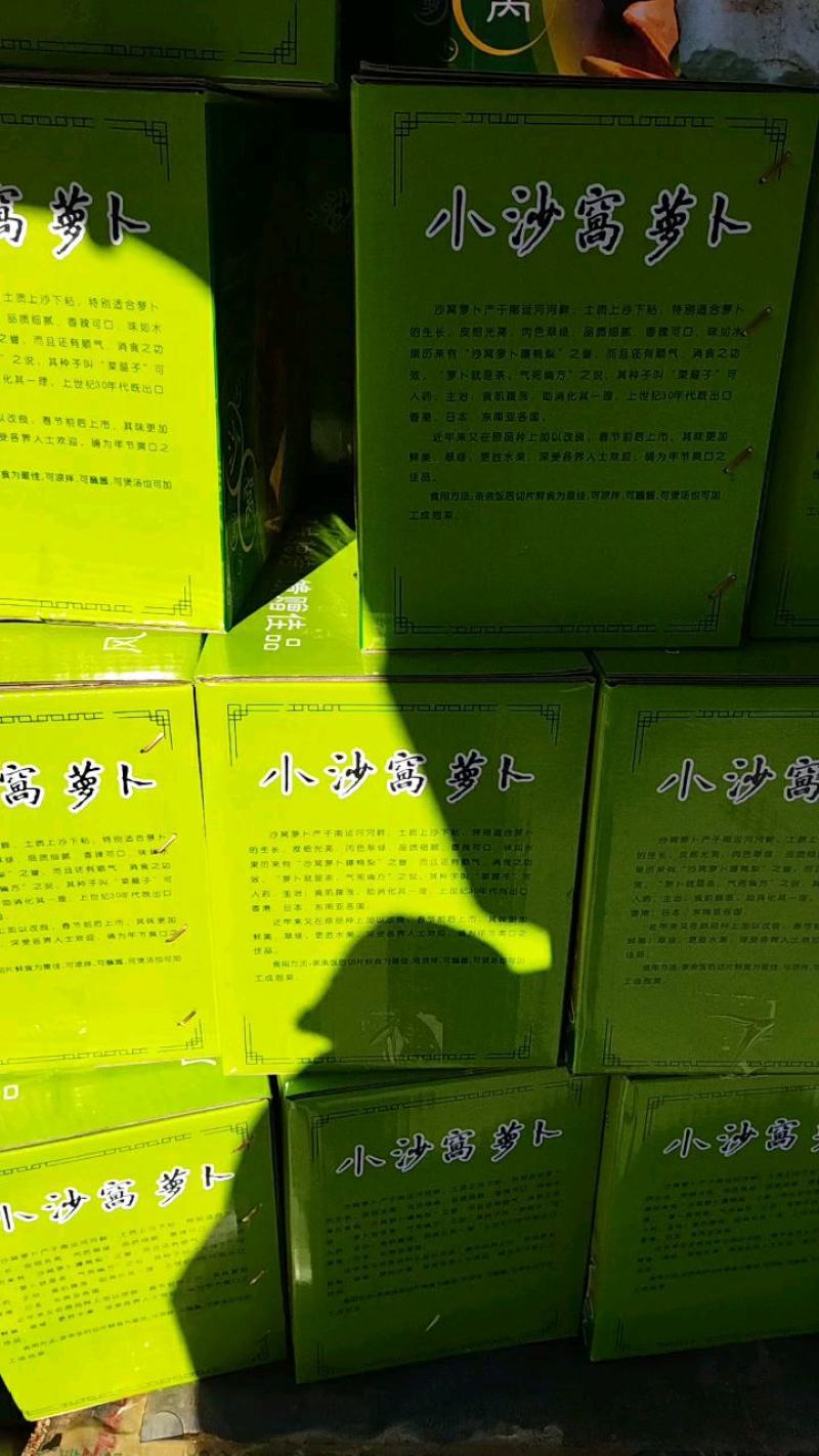 天津沙窝萝卜