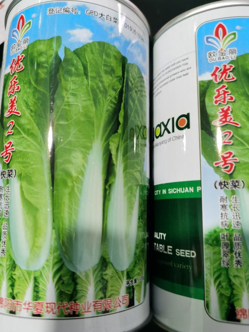 光速快菜种子速生美味20天上市无筋口感小颗大颗都美味
