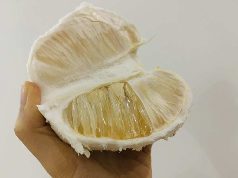 一块立式科普展板,展示沙田柚纵向切面的详细结构图,配有中文标签:果皮、白皮层、囊瓣、汁囊、种子等,背景为乡村果园与儿童参观学习的场景 沙田柚结构科普展板设计图