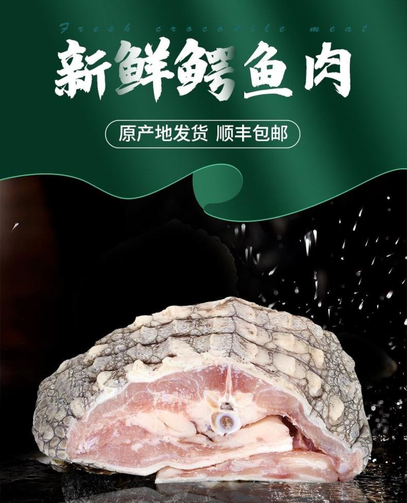 新鲜鳄鱼肉新鲜养殖鳄鱼1斤整只暹罗鳄鱼带皮每天现杀顺丰