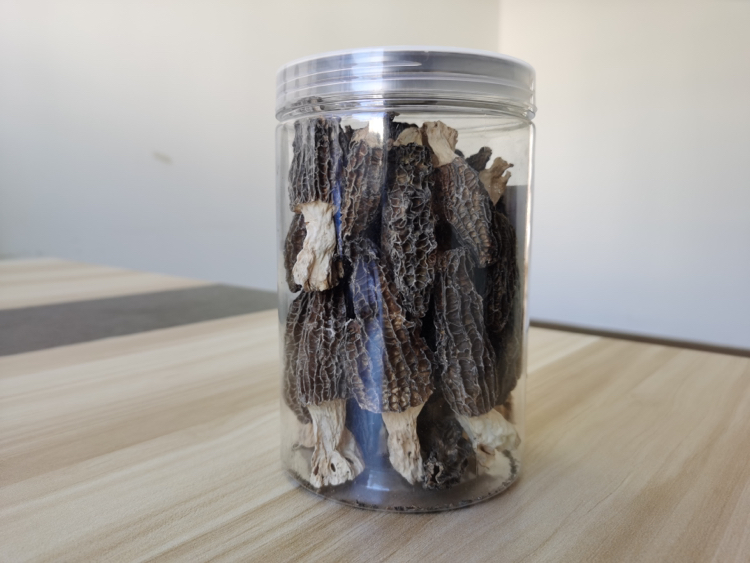 玻璃密封罐中浸泡中的干羊肚菌,清晰可见菌柄直立、菌帽微张,水面平静无气泡,罐体外壁凝结细密水珠,背景为家用冰箱冷藏室下层抽屉,温度计显示3.8℃ 羊肚菌科学冷藏泡发过程特写