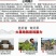 央视推荐广西太秋甜柿苗大秋甜柿苗南北可种植包邮