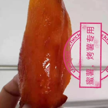 无药红薯出售