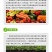 甲壳素海藻肥20kg桶肥生根壮苗根深叶茂缓苗快提地温