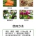 甲壳素海藻肥20kg桶肥生根壮苗根深叶茂缓苗快提地温