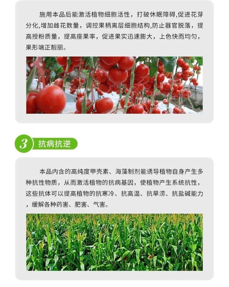 甲壳素海藻肥20kg桶肥生根壮苗根深叶茂缓苗快提地温