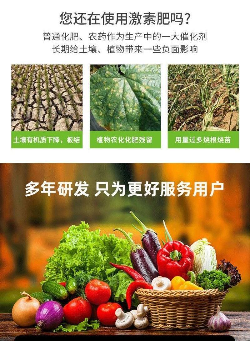 甲壳素海藻肥20kg桶肥生根壮苗根深叶茂缓苗快提地温