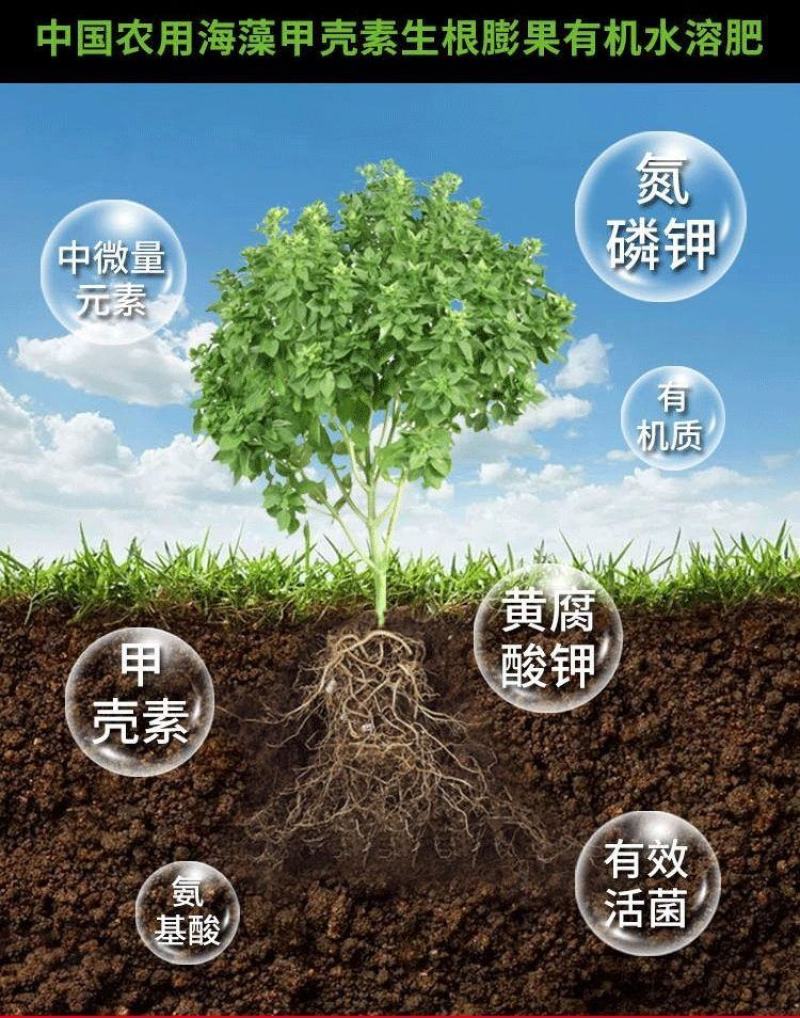 甲壳素海藻肥20kg桶肥生根壮苗根深叶茂缓苗快提地温