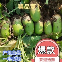 新鲜青萝卜，货源充足，汁多味美，体型好看，欢迎选购！