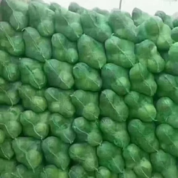 甘蓝已大量上市，物美价廉，有需要的客户请联系。