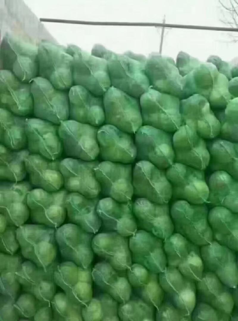 甘蓝已大量上市，物美价廉，有需要的客户请联系。