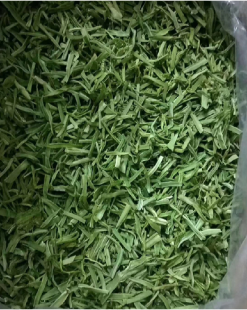 原产地直供出口干贡菜，切段贡菜苔干山蛰菜