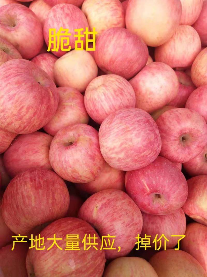 红富士苹果80以上，口感脆甜，产地一手货源