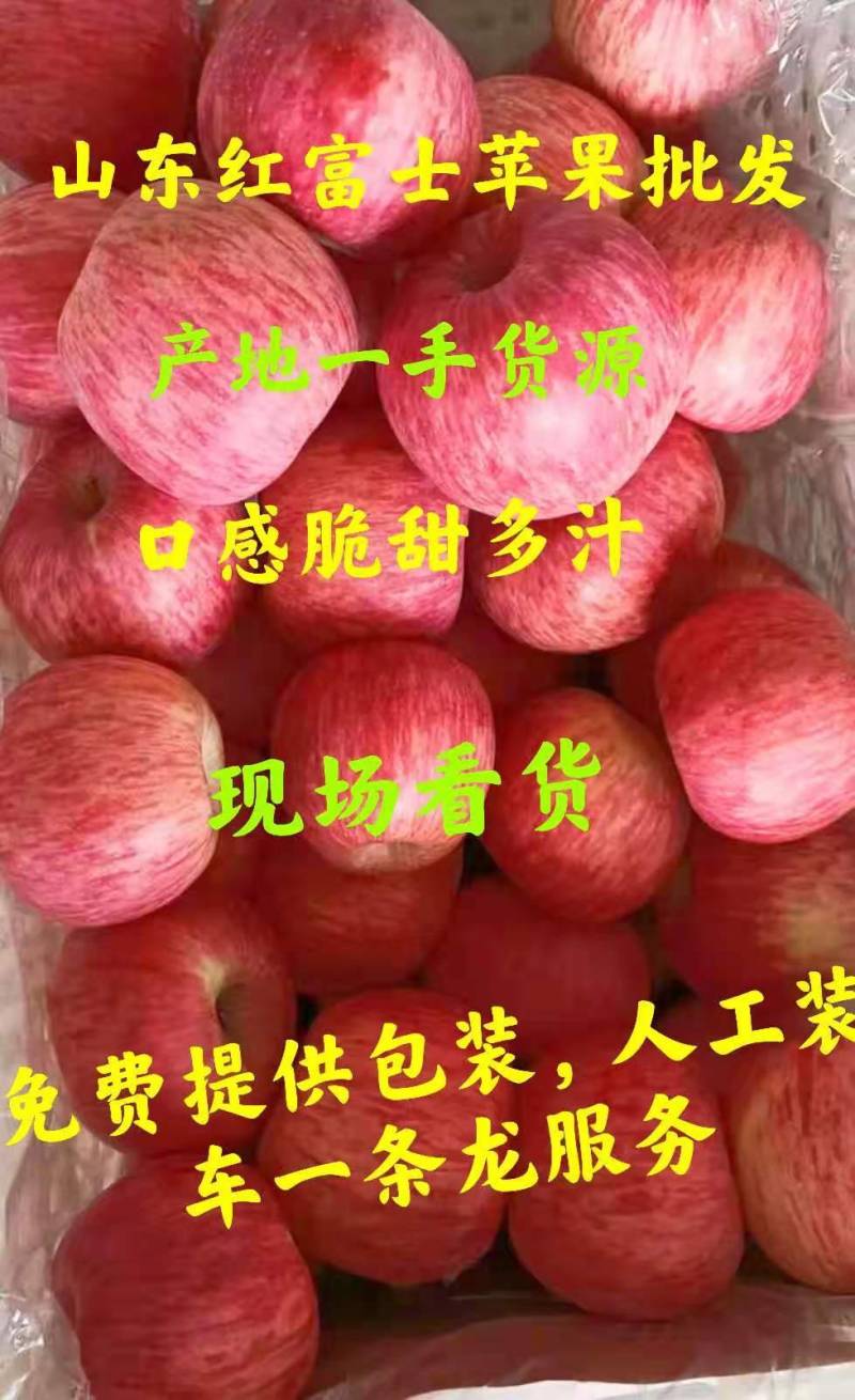 红富士苹果80以上，口感脆甜，产地一手货源