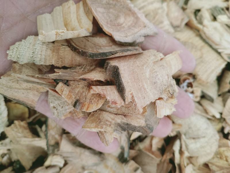 松节，油松节正品质量保证，经营各种中药材欢迎咨询选购