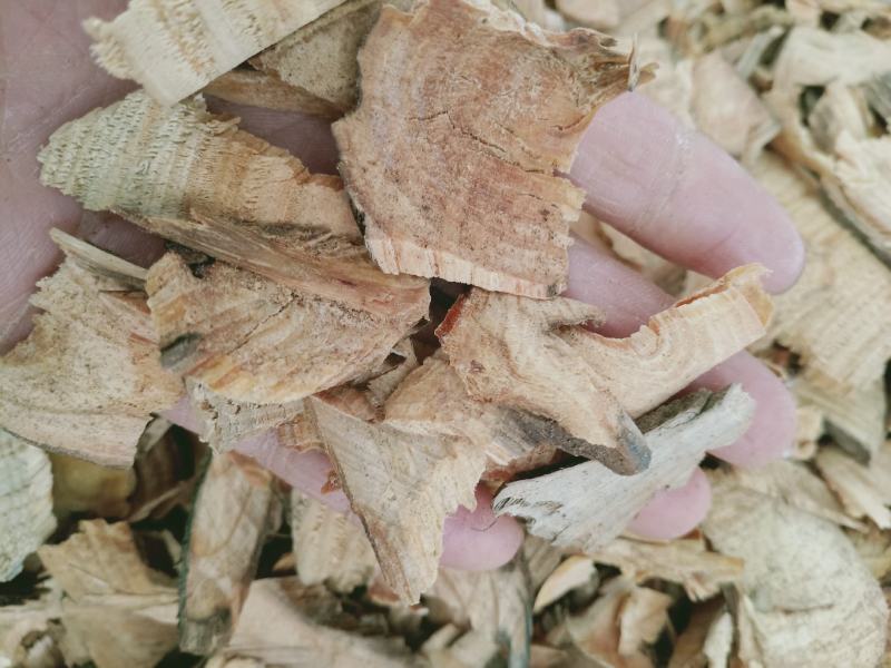 松节，油松节正品质量保证，经营各种中药材欢迎咨询选购