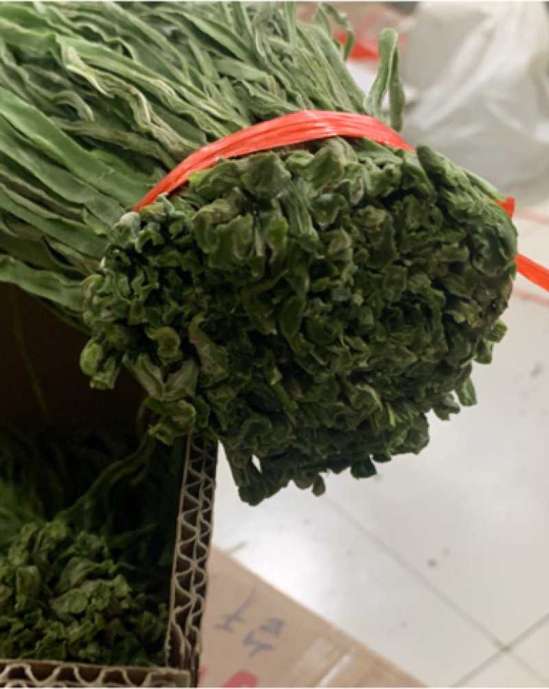 原产地直供出口干贡菜，切段贡菜苔干山蛰菜