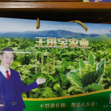 增城迟菜心