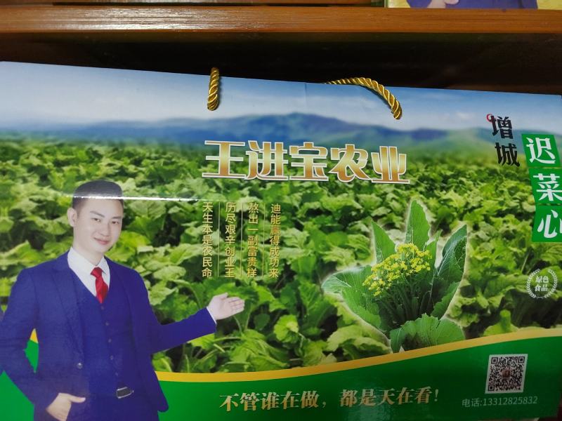 增城迟菜心