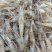 草虾河虾:一手货源产地湖北潜江市，黄卫国水产，全国发货。