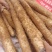 榆林白玉山药