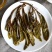 普洱茶