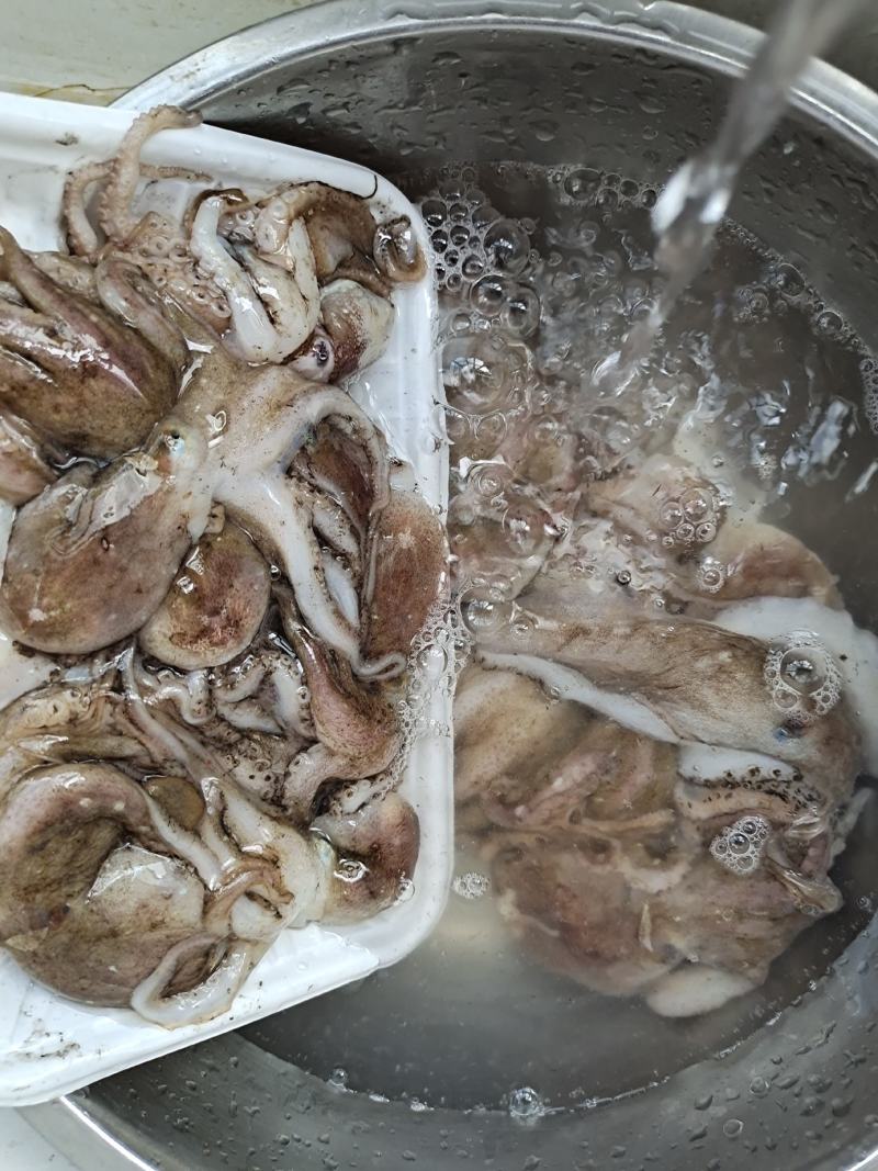 活冻不参假，不加工八爪鱼！保证了原汁原味！