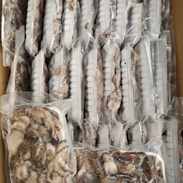 活冻不参假，不加工八爪鱼！保证了原汁原味！