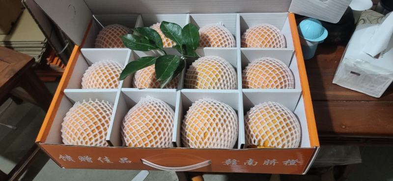 代发代办赣南脐橙承接电商商超团购代发